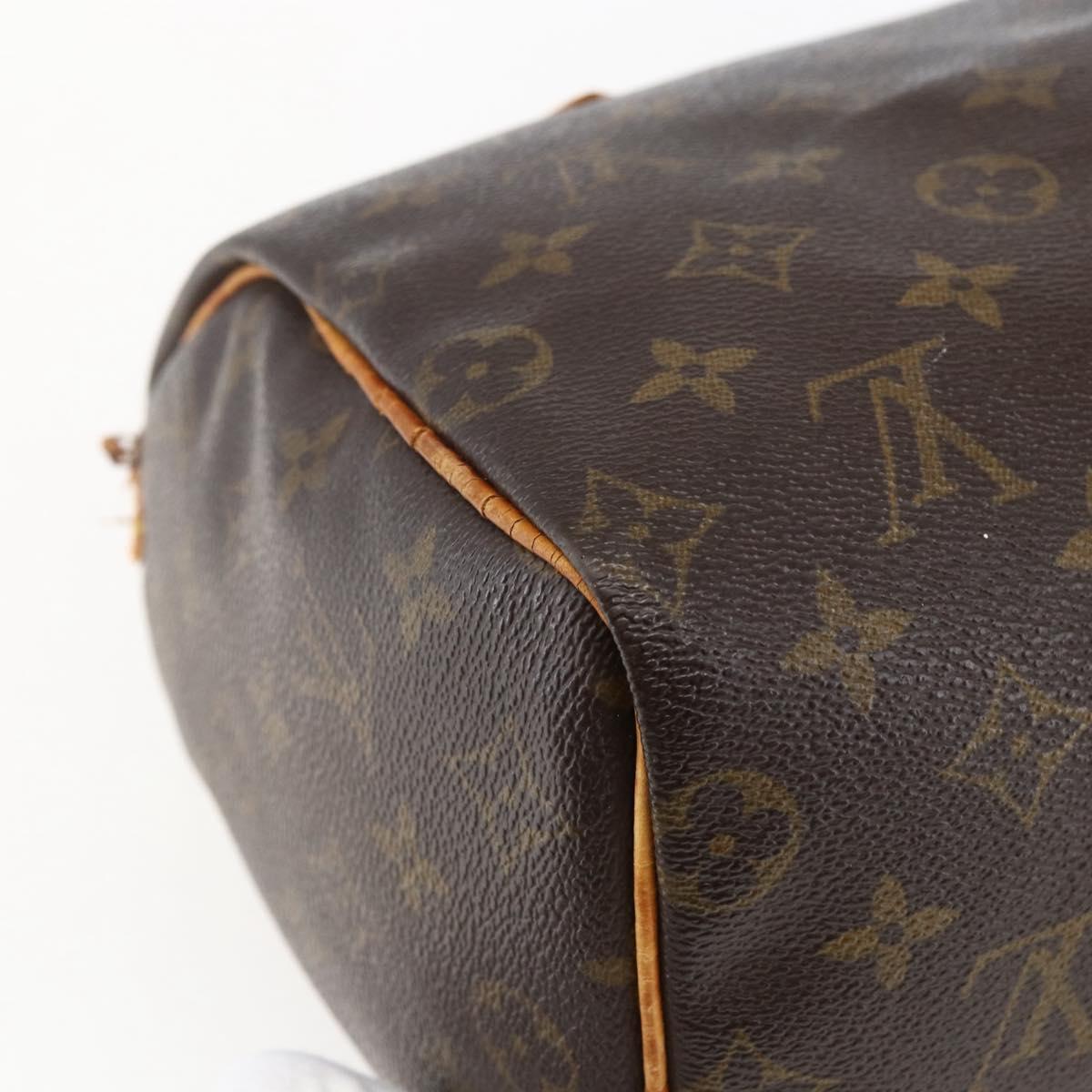 Monogram Speedy 25 Handbag