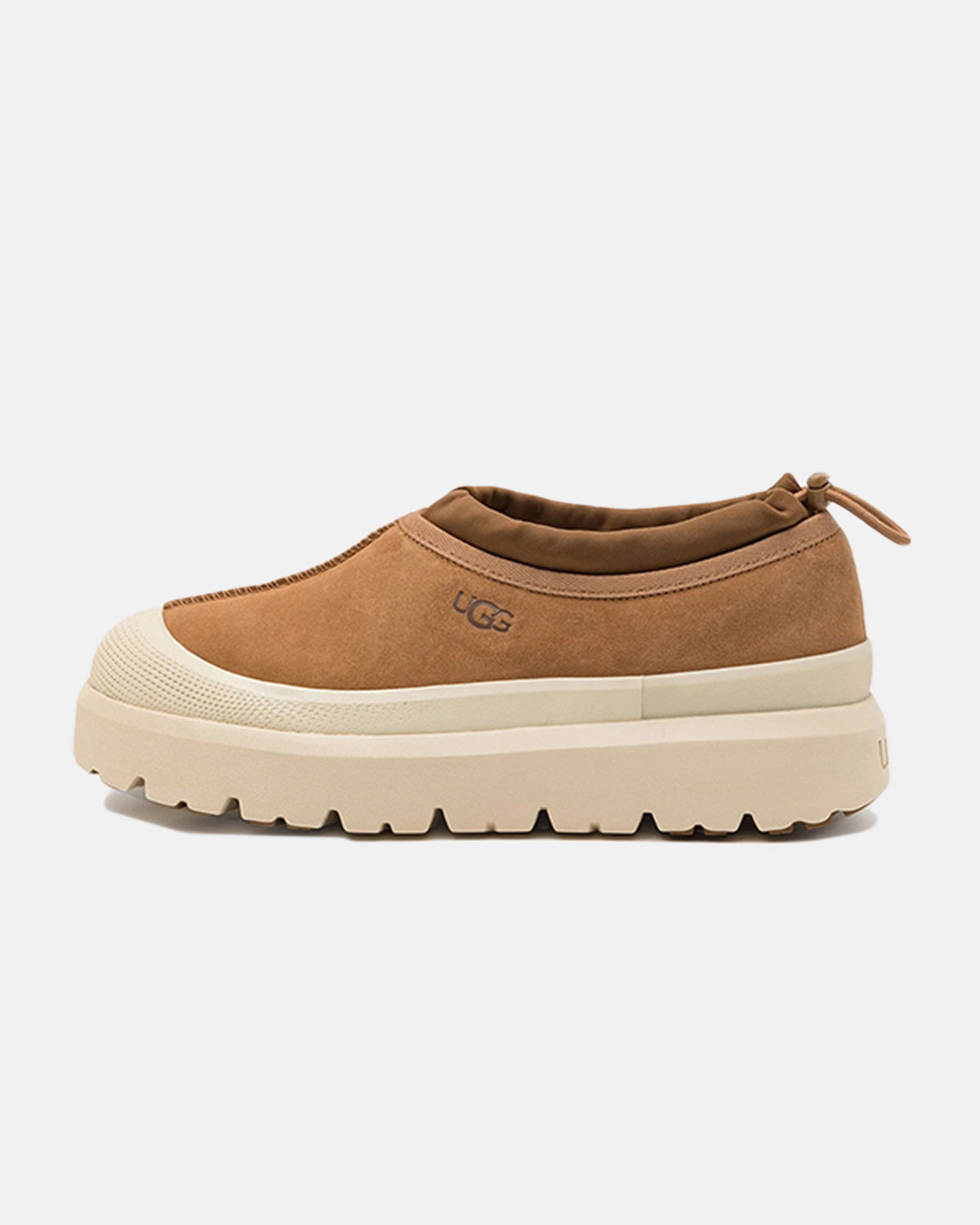 Tasman Weather -hybridi "Chestnut Whitecap"