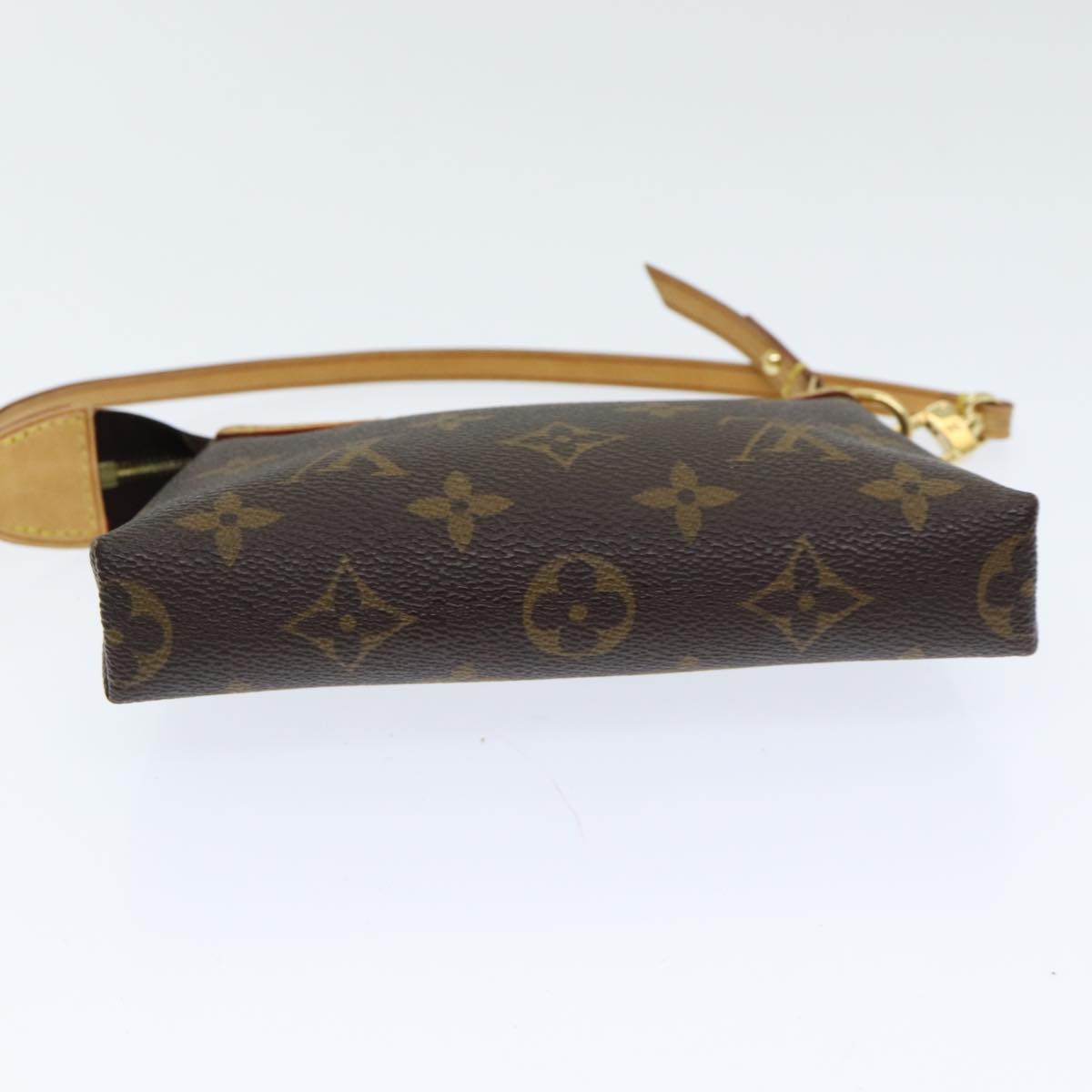 Monogram Mini Pochette Delightful