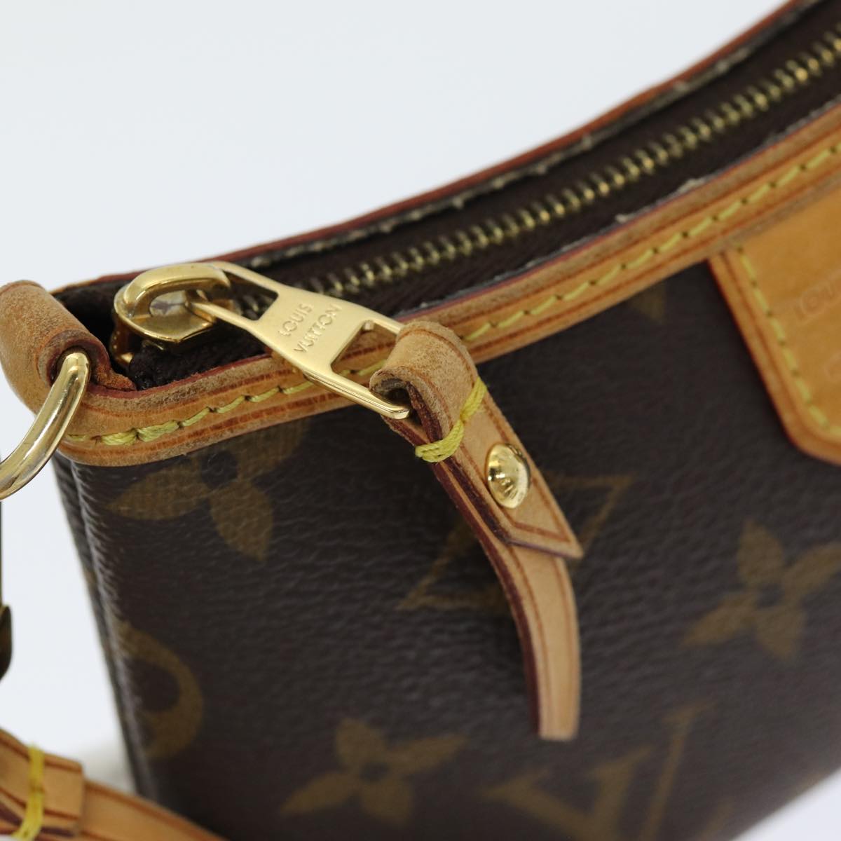 Monogram Mini Pochette Delightful