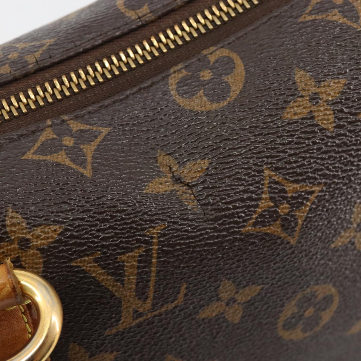 Monogram Totally PM Tote Bag