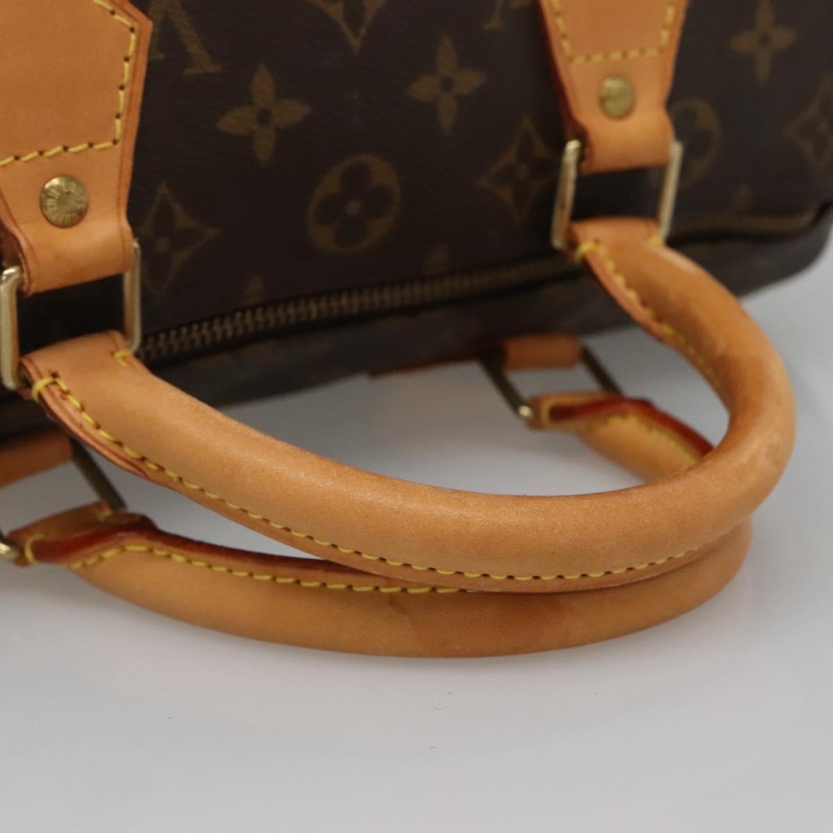 Monogram Speedy 30 Hand Bag
