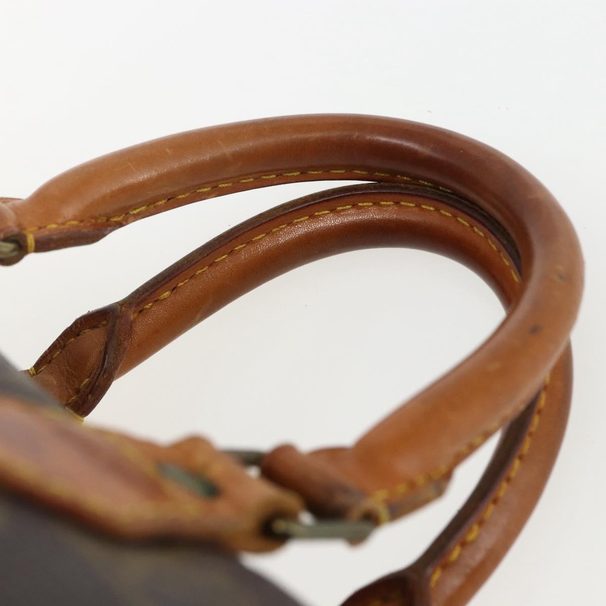 Monogram Speedy 25 Hand Bag